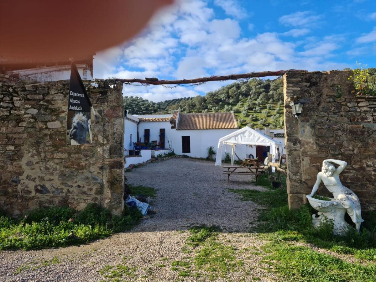 Апартаменты Experience Alpacas In Andalucia Кордова Экстерьер фото